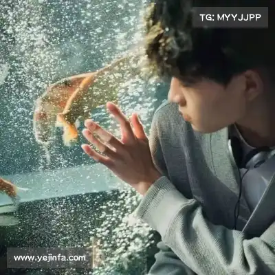 吴卓焘